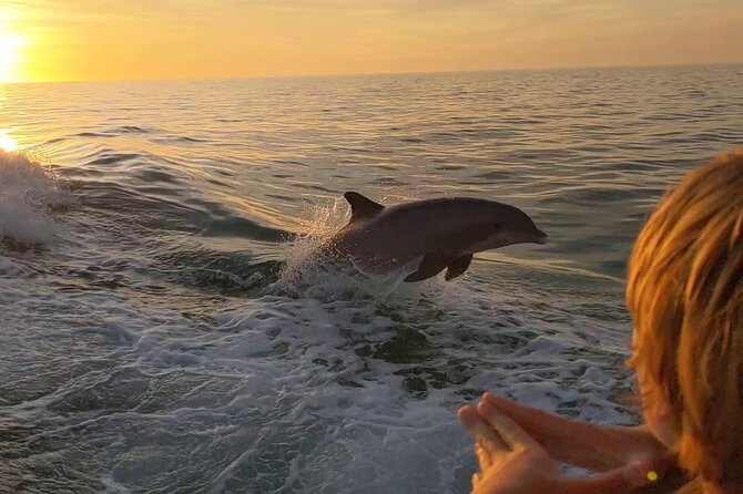 2 Hour Dolphin and Sightseeing Tour in Shell Island - Key Points