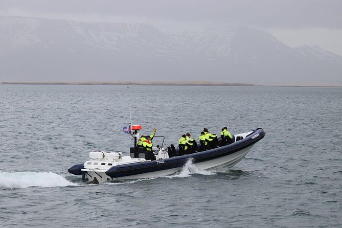 2-Hour RIB Boat Whale Watching Tour From Reykjavik - Key Points