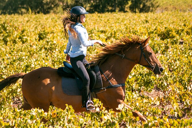 2 Hour Vineyard Trail Ride - Key Points