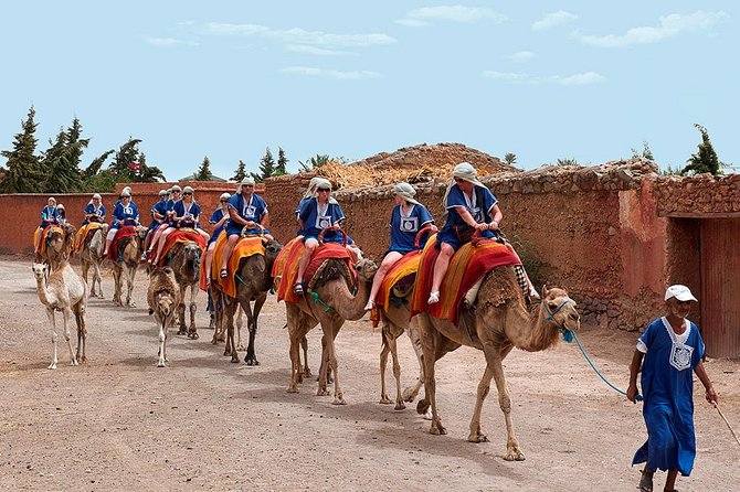 2 Hours Camel Ride in The Famous Marrakech Palm Groves and Berber Villages - Key Points