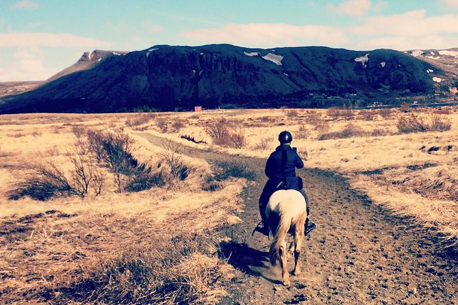2 Hours Private Horse Riding to Lake Hafravatn, Reykjavík - Mos - Key Points