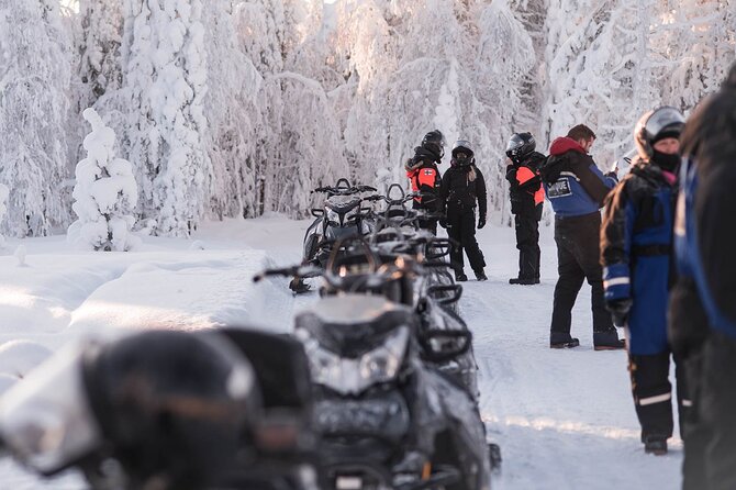 2 Hours Snowmobile Safari to the Levi Nature - Snowmobile Safari Overview