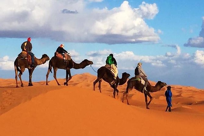2 Night Camel Trekking in Merzouga Desert - Key Points