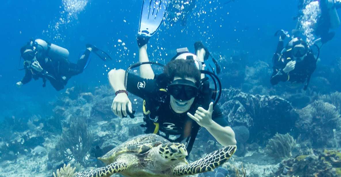 2 Tank Dive in Cozumel's Marine National Park - Key Points