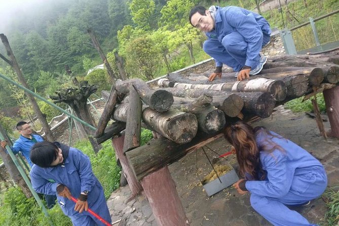 1-Day Dujiangyan Panda Base Volunteer Program Tour From Chengdu - Inclusions and Exclusions