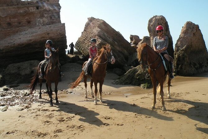 1 Day Horseback Ride With Lunch - Participant Requirements