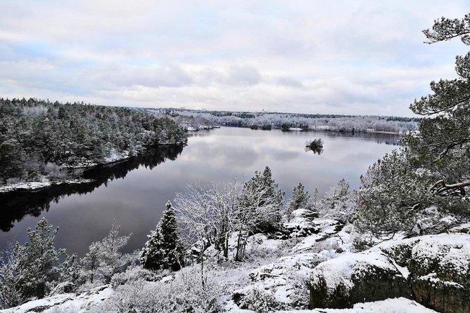 1-Day Small-Group Stockholm Nature Winter Hiking - Nature Exploration
