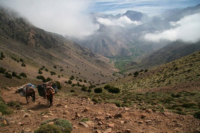 1-Day Tour From Marrakech to Imlil in Atlas Mountains - Traveler Experiences