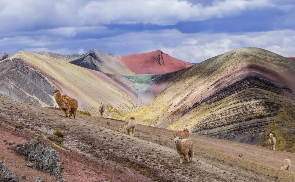 1 Day Trek to Palccoyo Rainbow Mountain - Cancellation Policy Details