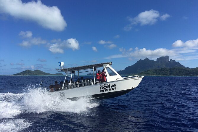 1 DIve in the Afternoon for Certified DIvers in Bora Bora - Traveler Engagement