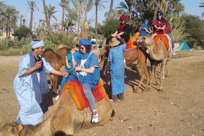 1-Hour Camel Ride in La Palmeraie Marrakech With Hotel Pick up - Traveler Reviews