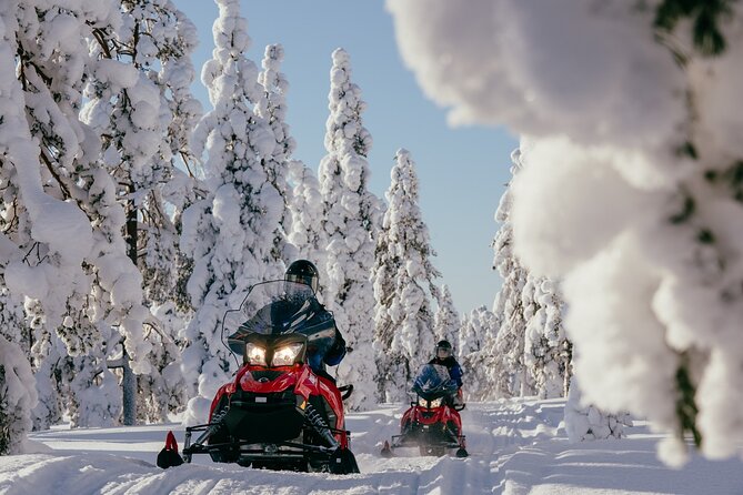 1 Hour Easy Snowmobile Safari in Levi - Reviews