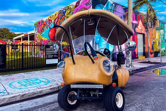1 Hour Lady Buggy Art Tour Experience in Wynwood - Cancellation Policy