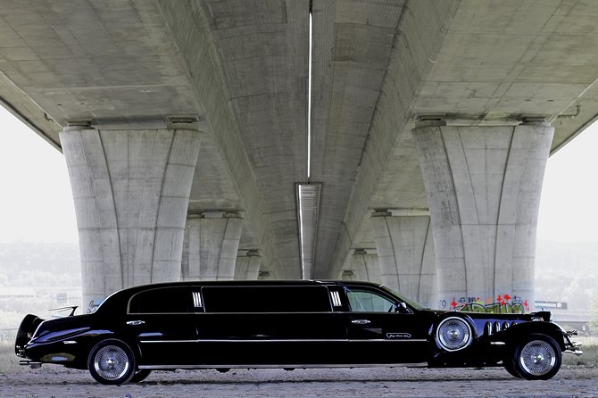 1 Hour Ride in Vintage Limousine - Group Size and Amenities