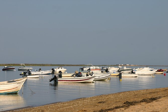 1 or 2 Hour Speed Boat Tour - Ria Formosa - Reviews and Ratings Information