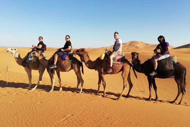 10-Days Private Morocco Tours & Sahara Desert From Casablanca - Desert Adventures