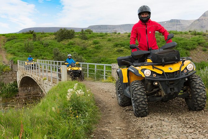 1hr ATV Adventure & Whale Watching Combination Tour From Reykjavik - Logistics