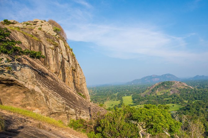 2 Ancient Kingdoms From Kandy - Tour Overview