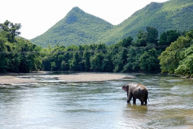 2 Day 1 Night Elephant World Kanchanaburi From Bangkok - Accommodation Information