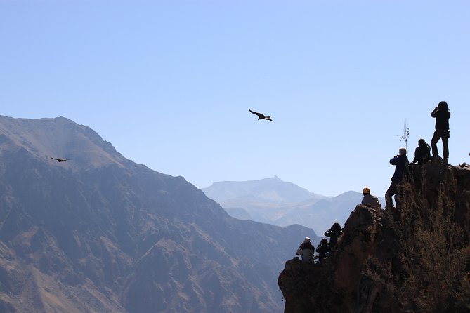 2 Day Colca Canyon, Vicuna Reserve and Condors From Arequipa - Colonial Villages Exploration