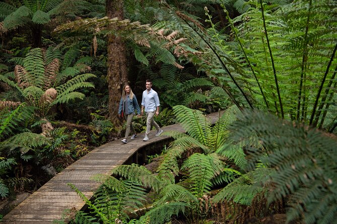 2 Day Exclusively Private Tour Of Phillip Island & The Great Ocean Road - Transportation and Accommodation