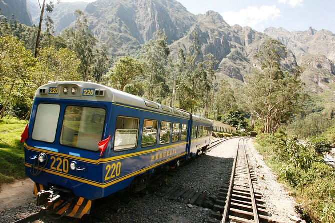 2-Day Guided Tour to Sacred Valley and Machu Picchu by Train - Traveler Experience Insights