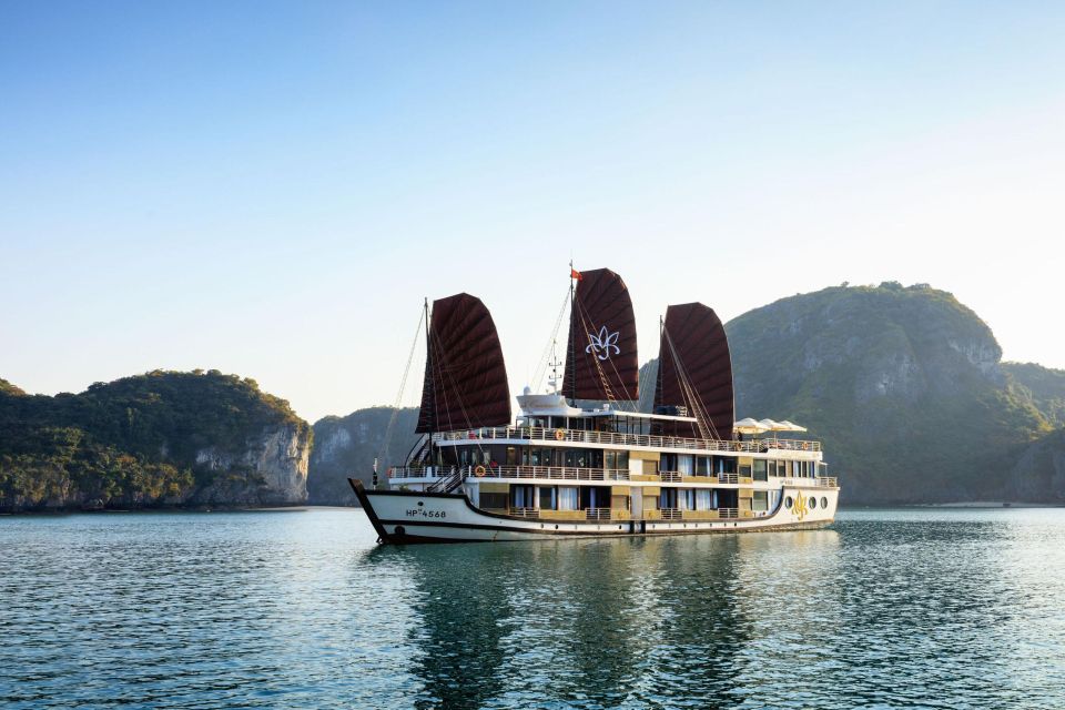 2 Day: Halong Bay Orchid Cruises - Experience and Activities