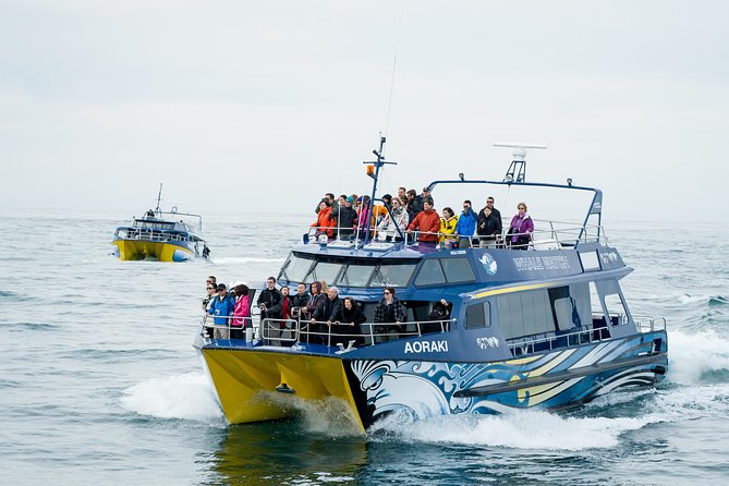 2 Day Kaikoura Whale and Dolphin Tour From Christchurch - Itinerary Details