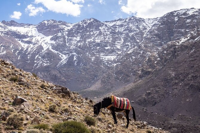 2-Day Toubkal Trek From Marrakech With Local Guide - What to Expect