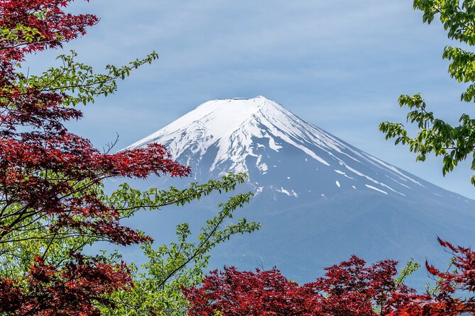 2-Day Tour-The Best of Japan - Cultural Experiences Included