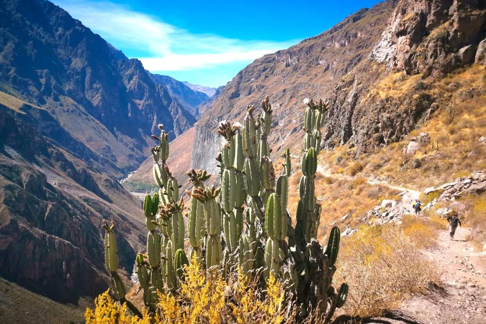 2-Day Tour to the Colca Valley and the Cruz Del Condor - Itinerary and Experience