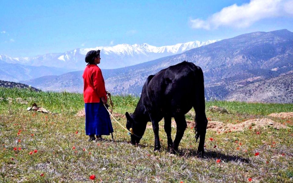 2 Day Trek in Atlas With Locals.. / Virgin Villages - Experience Highlights