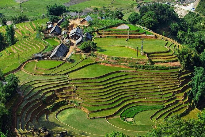 2-Day Trekking Adventure of Sapa From Hanoi With Night Bus - Departure and Return Logistics