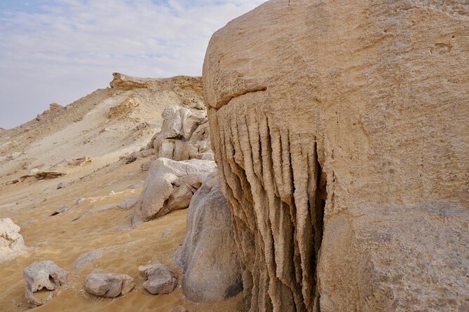 2 Day Trip to Bahariya Oasis White Desert From Cairo - Tour Inclusions