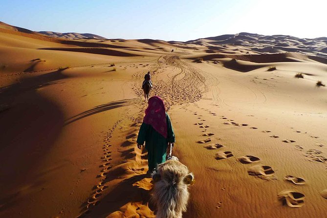 2 Day Zagora Tour From Marrakech Including the Atlas Mountains, Camel Trek and Desert Camp - Inclusions and Exclusions