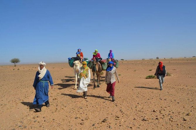 2 Days 1 Night To Zagora Desert From Marrakech - Transportation Options