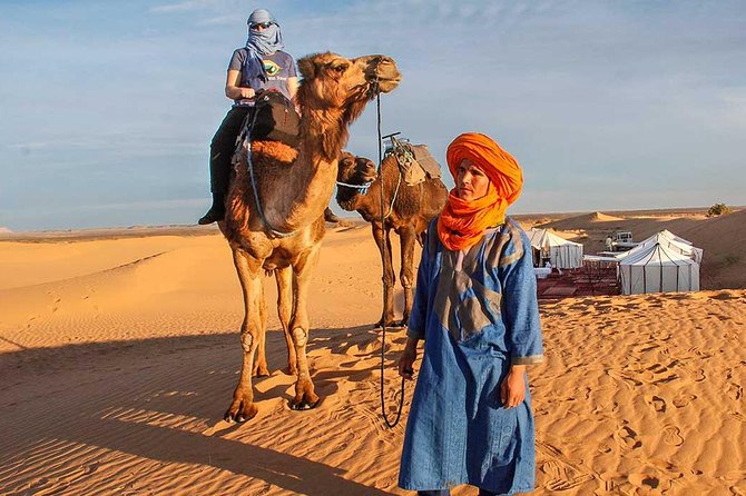 2 Days Luxury Desert Tour From Marrakech to Zagora - Gourmet Dining Experience