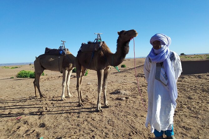 2 Days Marrakech to Zagora Desert Trip - Meals and Dining Options