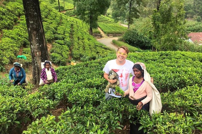 2 -Days Private Tour to Nuwara Eliya From Colombo - Guide and Commentary