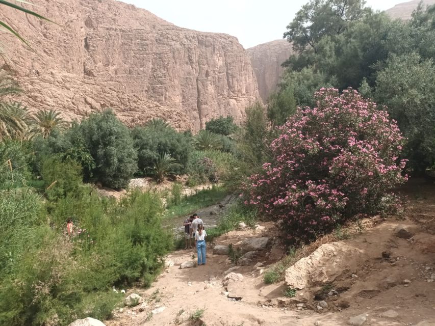 2 Days Tour to Ait Ben Haddou, Ouarzazate & Dades Valley - Itinerary Highlights