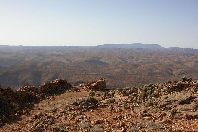 2 Days Trip in a Small Group From FEZ to FEZ Passing by MERZOUGA - Meal Inclusions