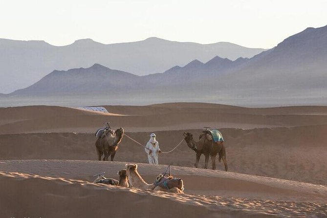 2-Days Zagora Desert Tour From Marrakech - Itinerary Details