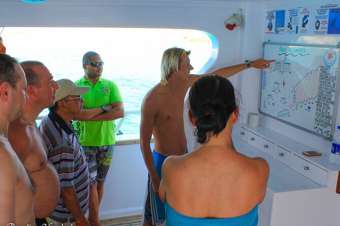 2 Dives From a Comfy Boat for Certified Divers - Equipment and Safety Precautions