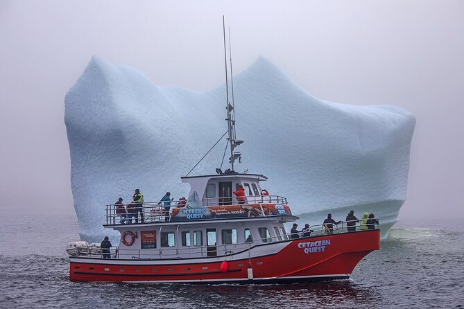 2 Hour Boat Tour in Twillingate - Review Authenticity