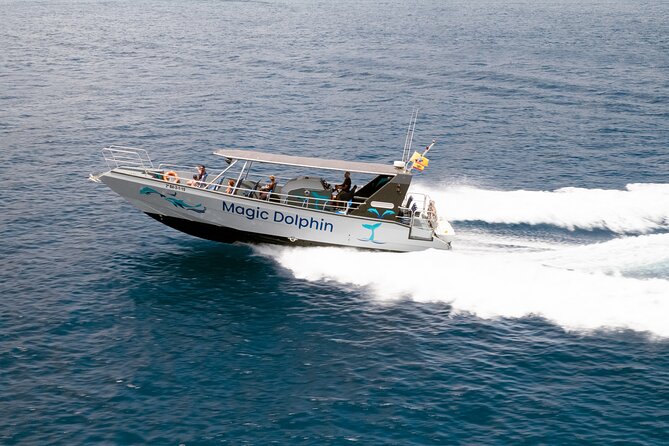 2-Hour Dolphin Watching Experience in Fuerteventura - Customer Reviews and Ratings