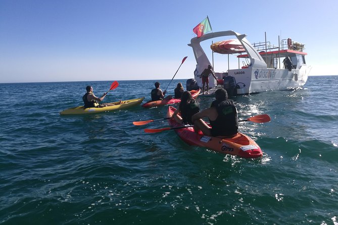 2-Hour Kayak Tour of Ponta Da Piedade Caves and Beaches - Scenery and Experience