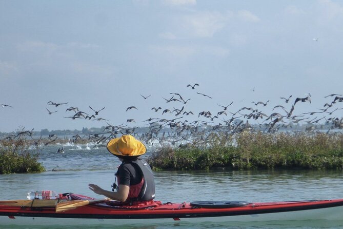 2 Hour Night Kayak Tour in Venice, Premium Experience With Sunset - Logistics