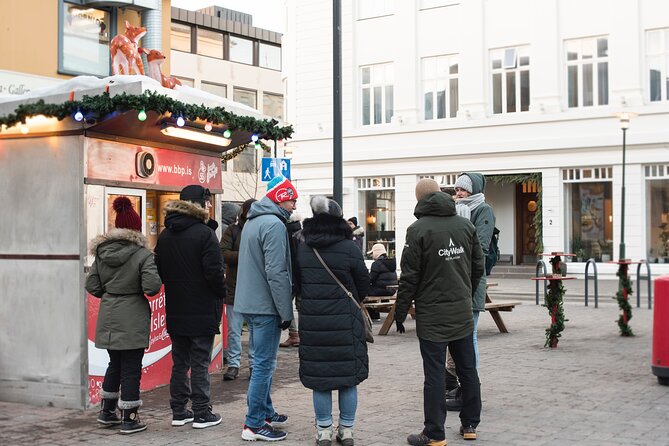 2-Hour Reykjavik Private Walking Tour - Logistics