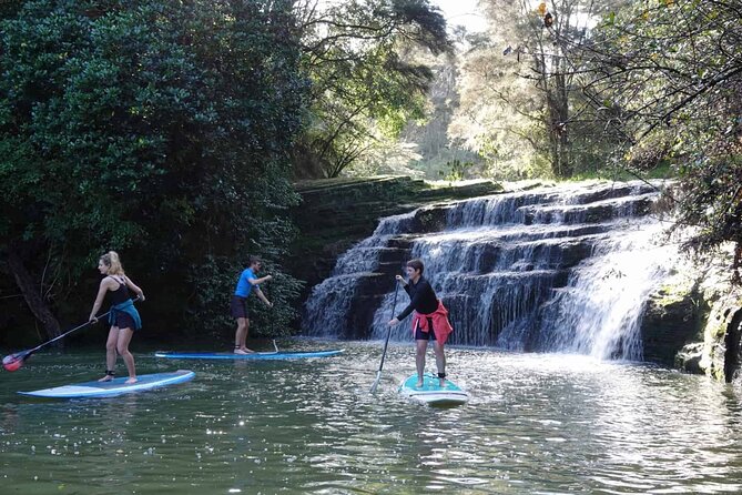 2-Hour Stand-Up Paddle Boarding Tour to Lucas Creek Waterfall - Inclusions: Gear Provided
