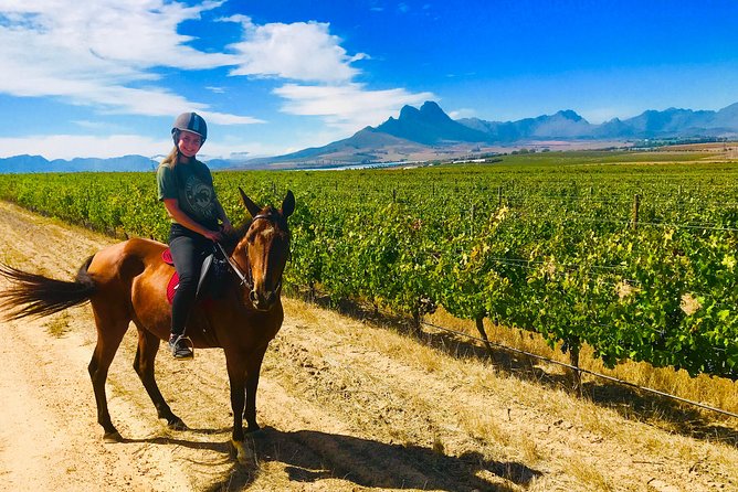 2 Hour Vineyard Trail Ride - Pricing and Booking Information